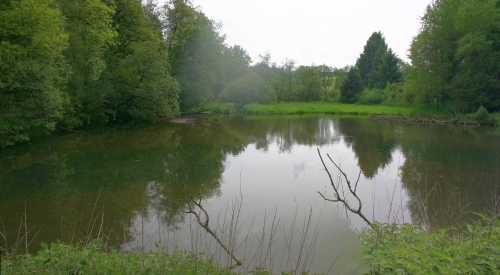 Schütteich Berkermühle, © FNMK 2010