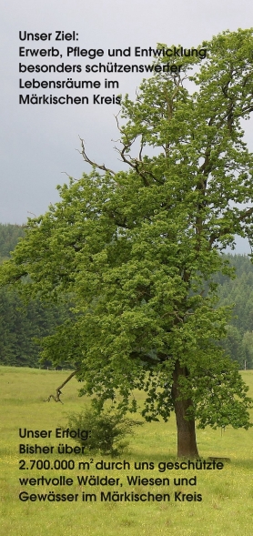 Förderverein Naturschutz Märkischer Kreis e.V. - Projektziele und -erfolge Förderverein Naturschutz Märkischer Kreis e.V. - Projektziele und -erfolge