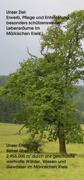 Förderverein Naturschutz Märkischer Kreis e.V. - Projektziele und -erfolge Förderverein Naturschutz Märkischer Kreis e.V. - Projektziele und -erfolge